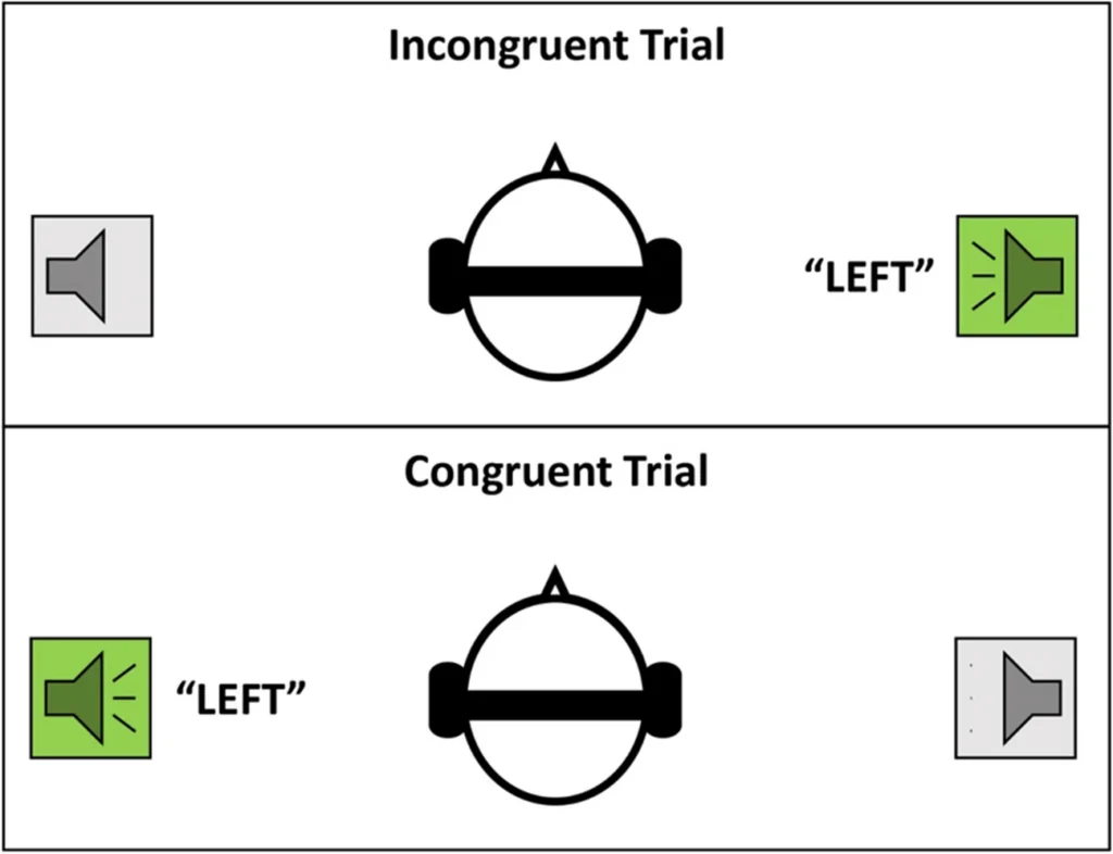 Incongruent vs. congruent trial types in the Auditory Simon DL task.